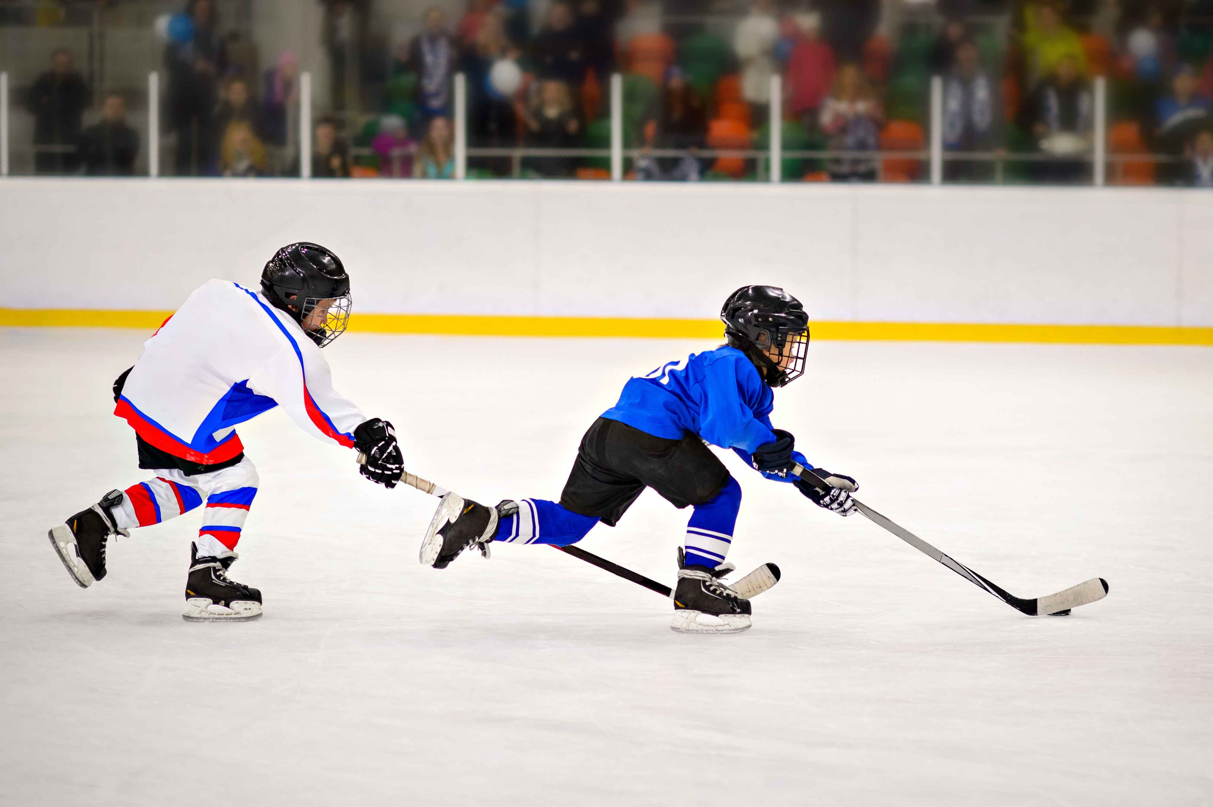 hockey playing kids